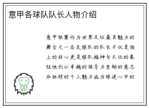 意甲各球队队长人物介绍